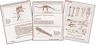 Pages from Dinosaur from Chicken Bones books