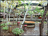 Wardman Park garden