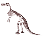Early Hadrosaurus drawing