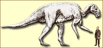 Hadrosaurus and man