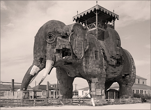 Lucy Elephant 1969